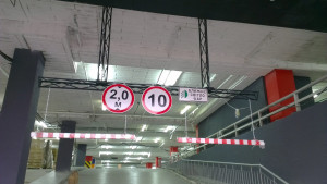 IMAG0250