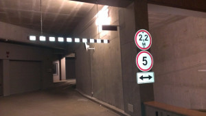 IMAG2655